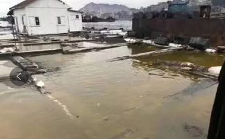 不造謠不傳謠，我們用事實說話 內陸水產養殖銷售的現狀與前景