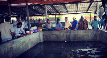 斯里蘭卡召開(kāi)海參生態(tài)養(yǎng)殖技術(shù)推廣現(xiàn)場(chǎng)會(huì)，推動(dòng)內(nèi)陸水產(chǎn)養(yǎng)殖與銷售協(xié)同發(fā)展