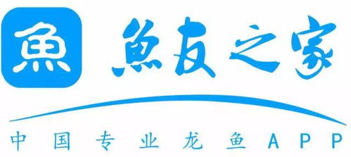 長城專訪｜魚友之家 多形態(tài)展示背后的唯一服務宗旨——數(shù)字文化創(chuàng)意內容應用服務的創(chuàng)新實踐